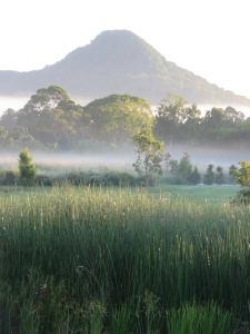 magic of mullumbimby